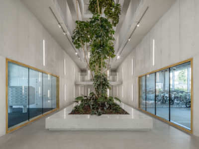 23_882-317-pano_m_72dpi