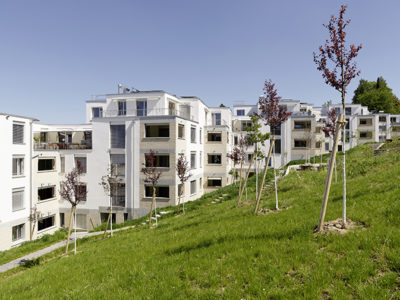 A_Arazebra_P0010385-Pano-fullframe