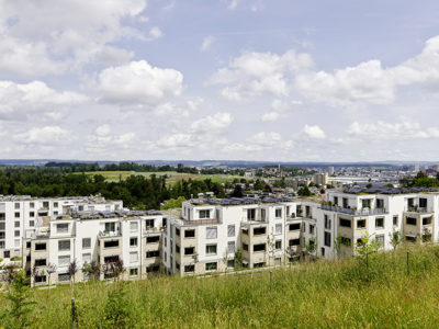 A_Arazebra_P0010872-Aussicht-Panorama-2