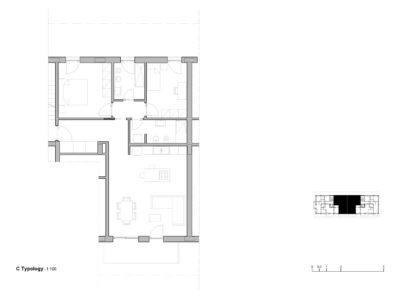 C Typologies 1-100